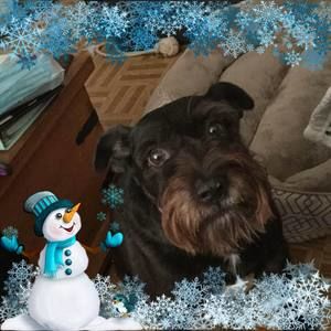 Meet your Posher, Elaine